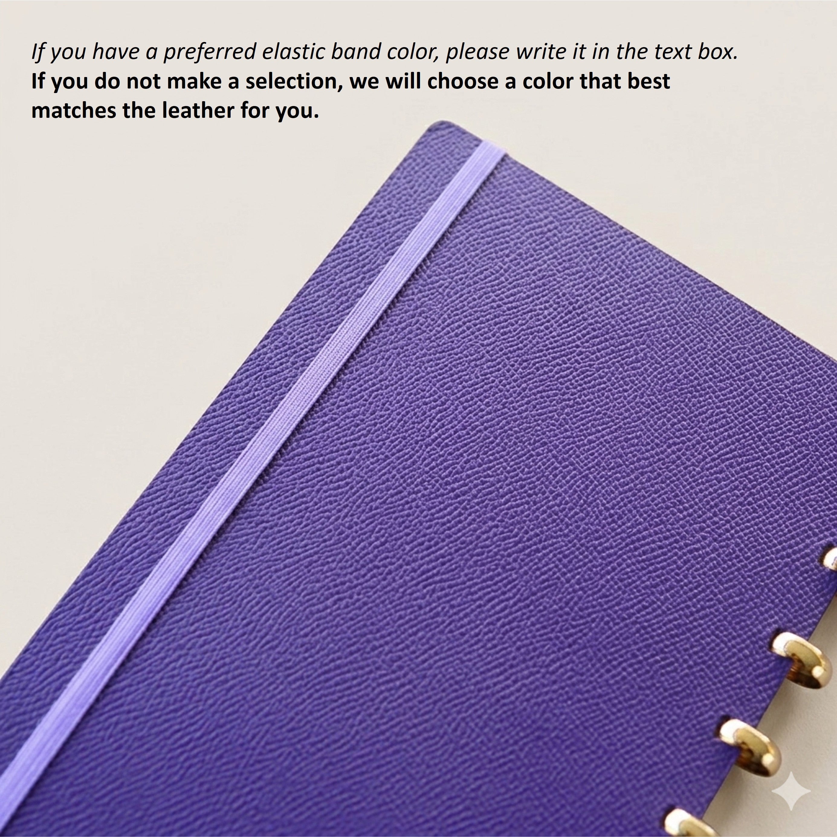 INSIGHT Edition Discbound Planner in German Noblessa Leather