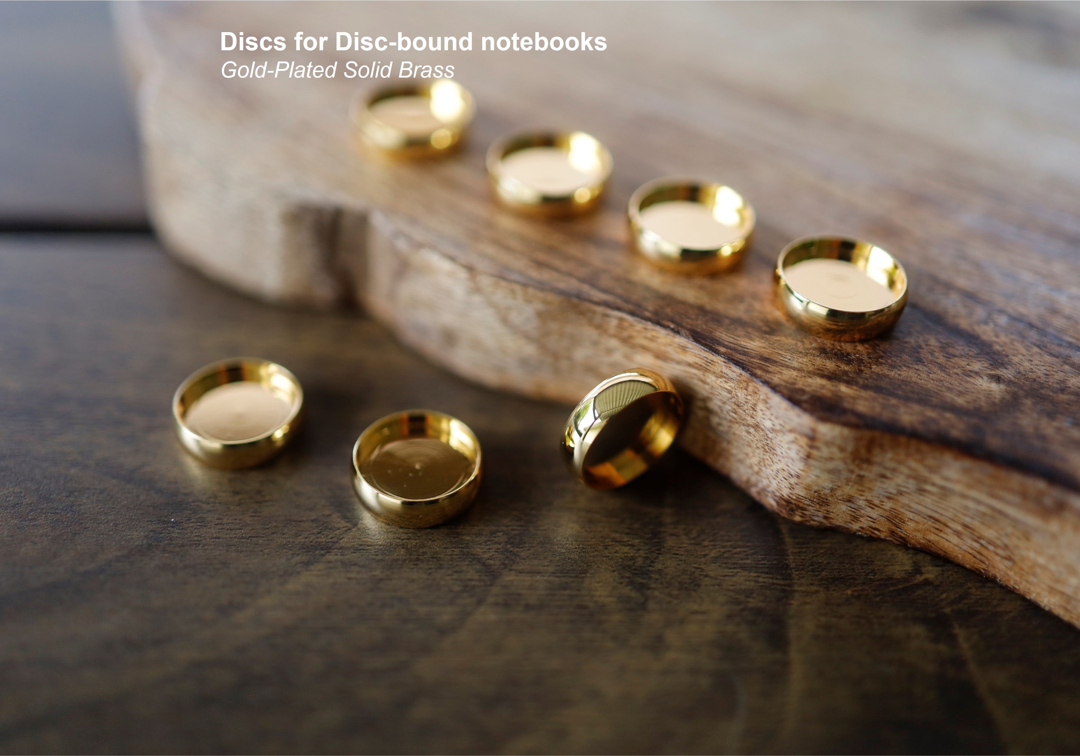Discs for Disc-bound Notebooks (Gold)