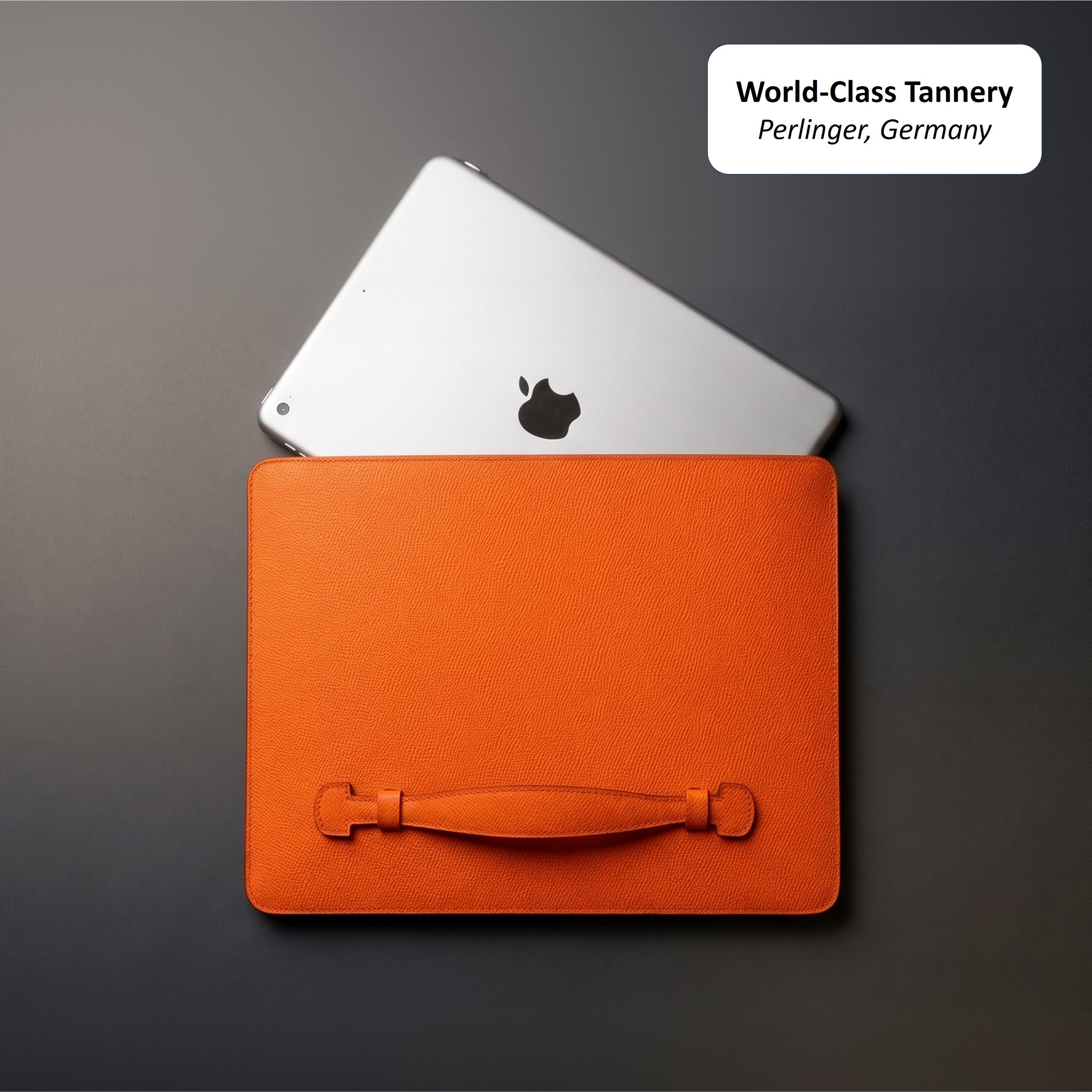THE PENTAS: German Noblessa Leather Sleeve for iPad
