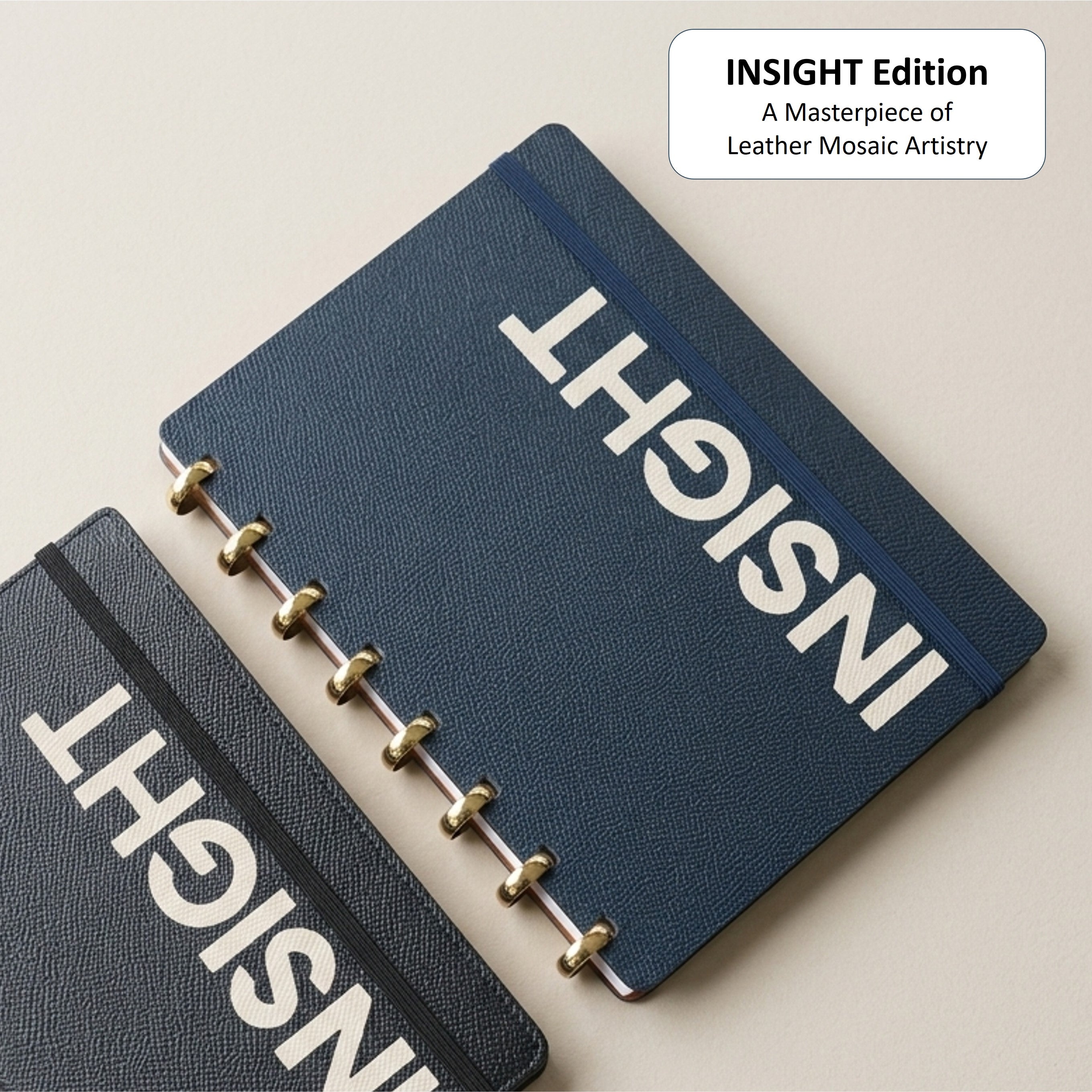 「INSIGHT」Edition Discbound Planner in German Noblessa Leather