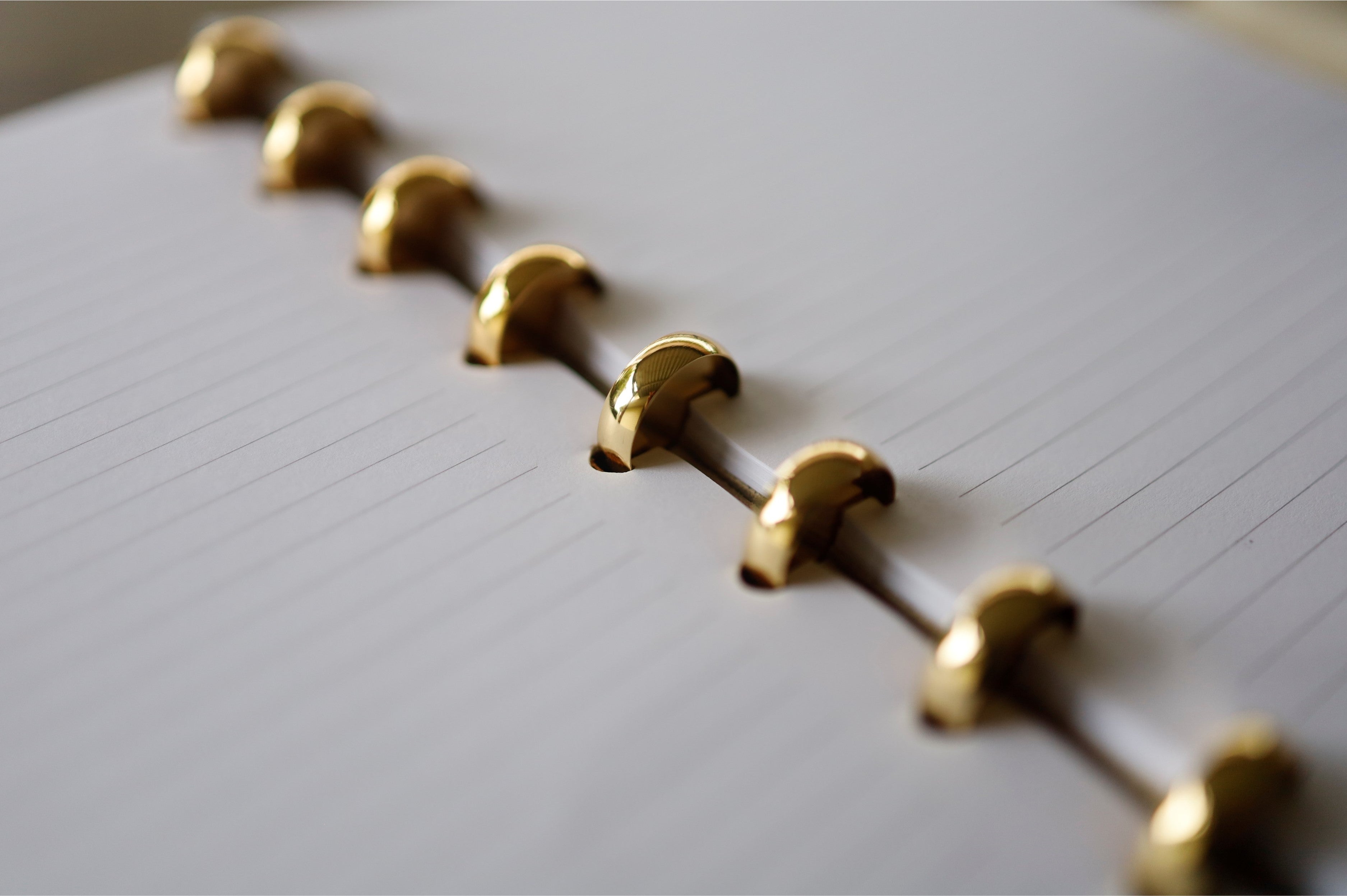 Discs for Disc-bound Notebooks (Gold)