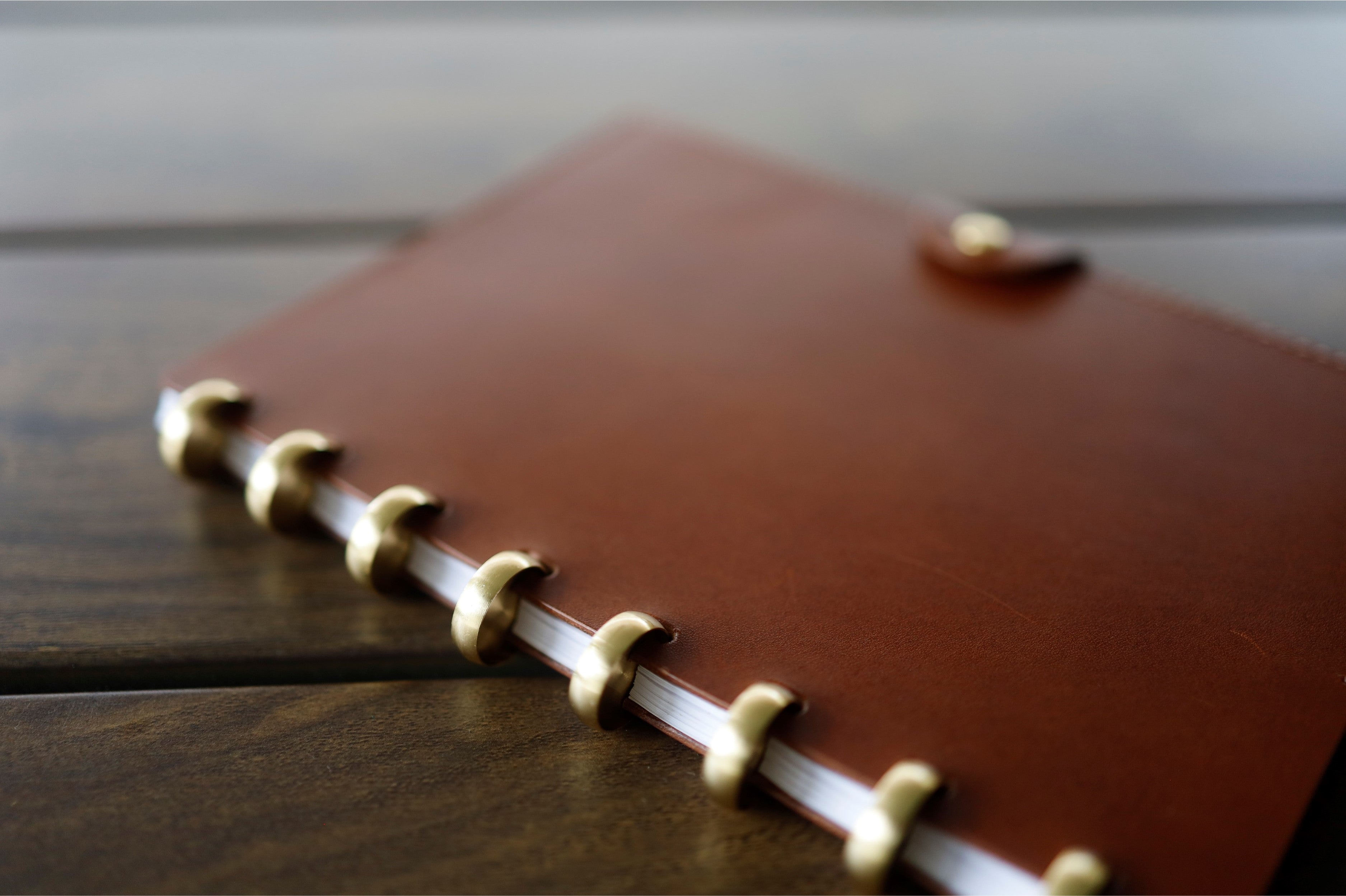 Discs for Disc-bound Notebooks (Solid Brass)