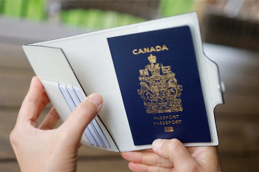 Aeris Passport Cover in German Noblessa Leather