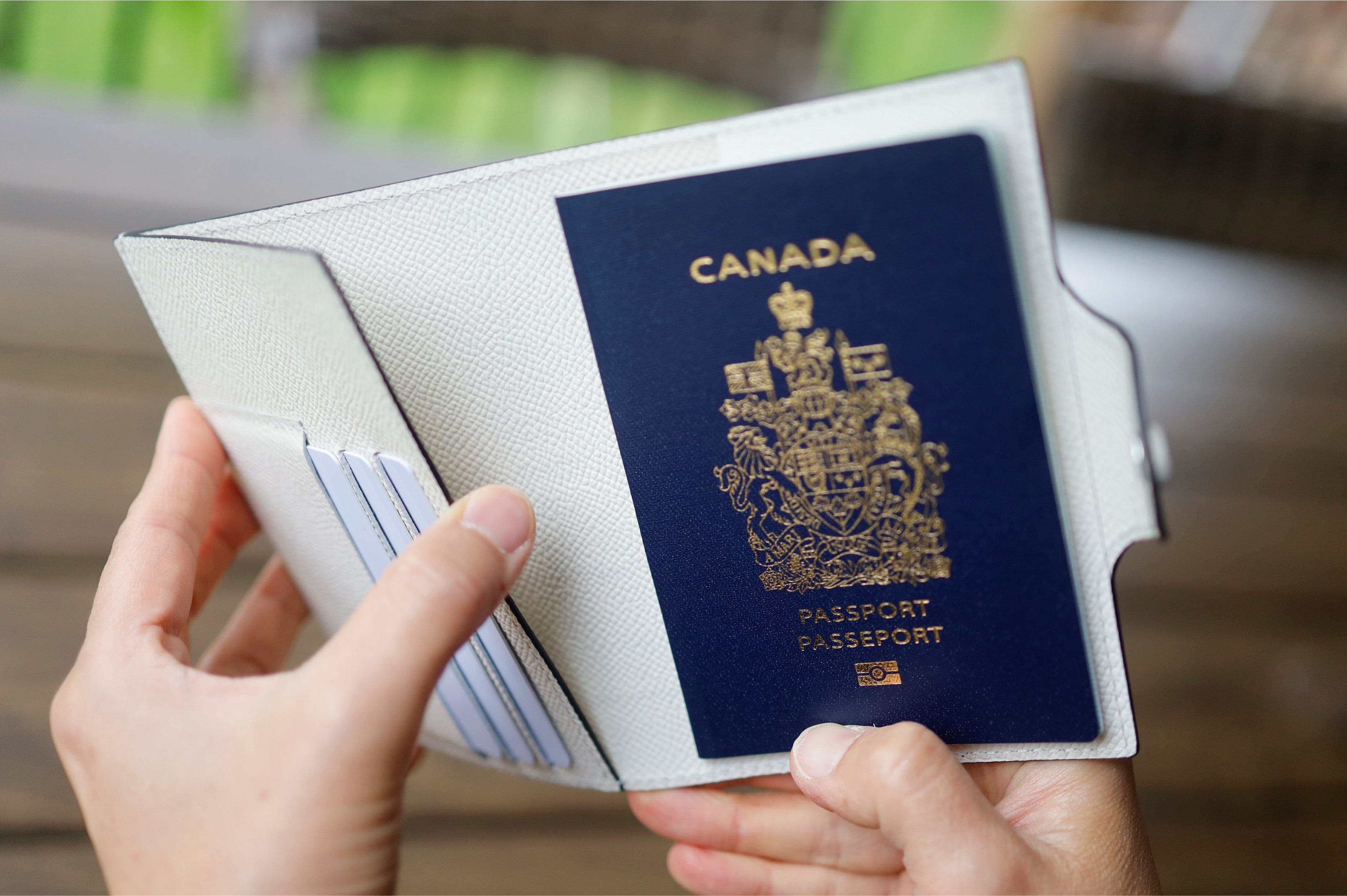 Aeris Passport Cover in German Noblessa Leather