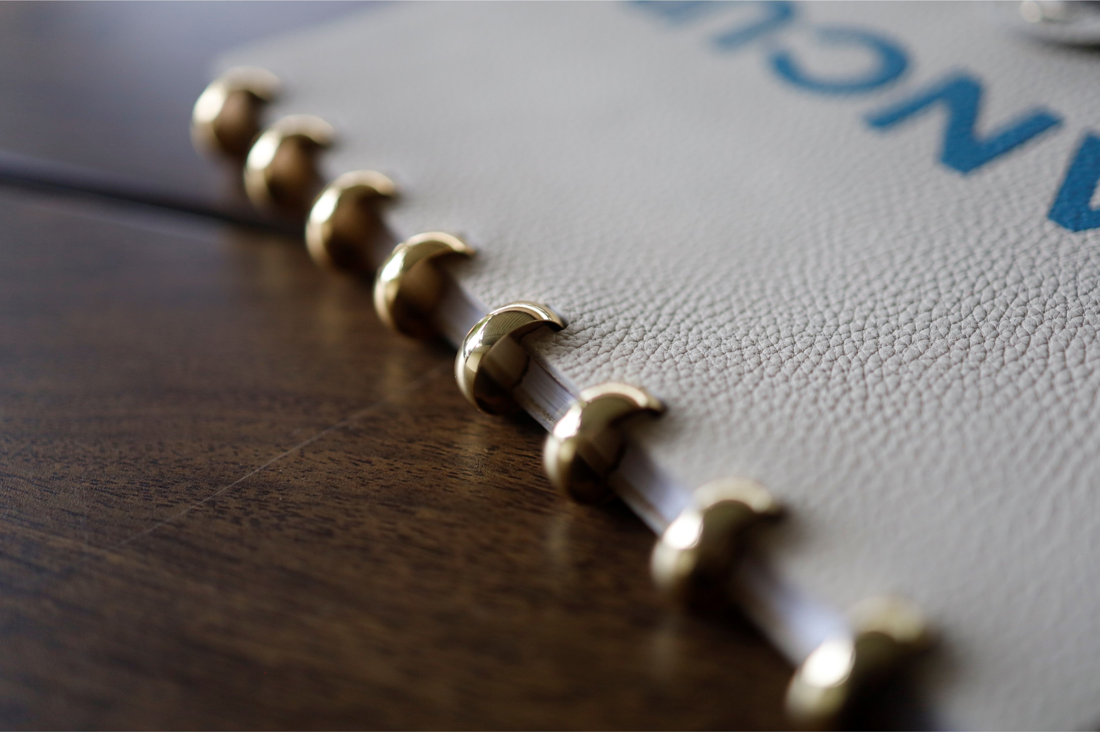 Discs for Disc-bound Notebooks (Gold)