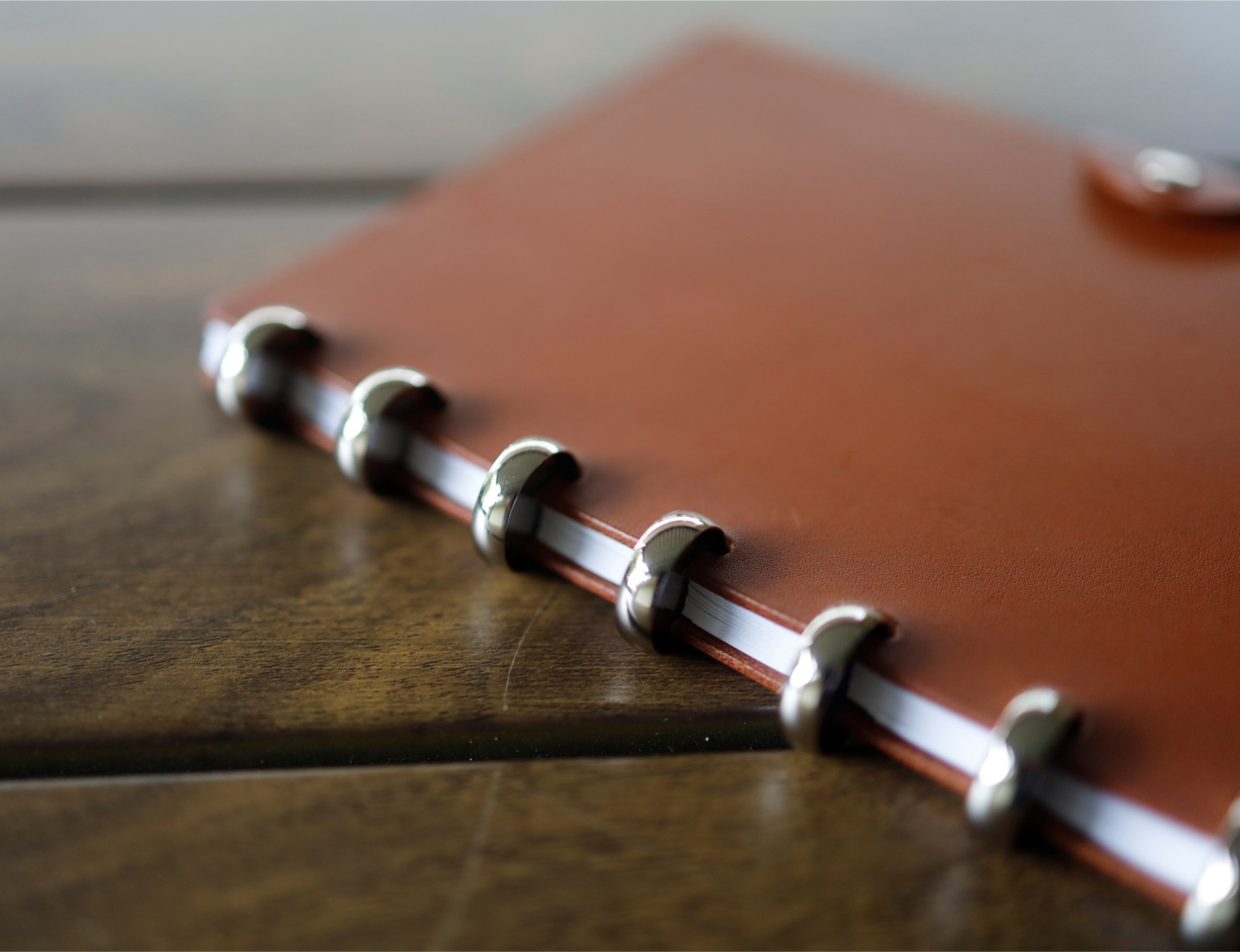 Discs for Disc-bound Notebooks (Nickel)