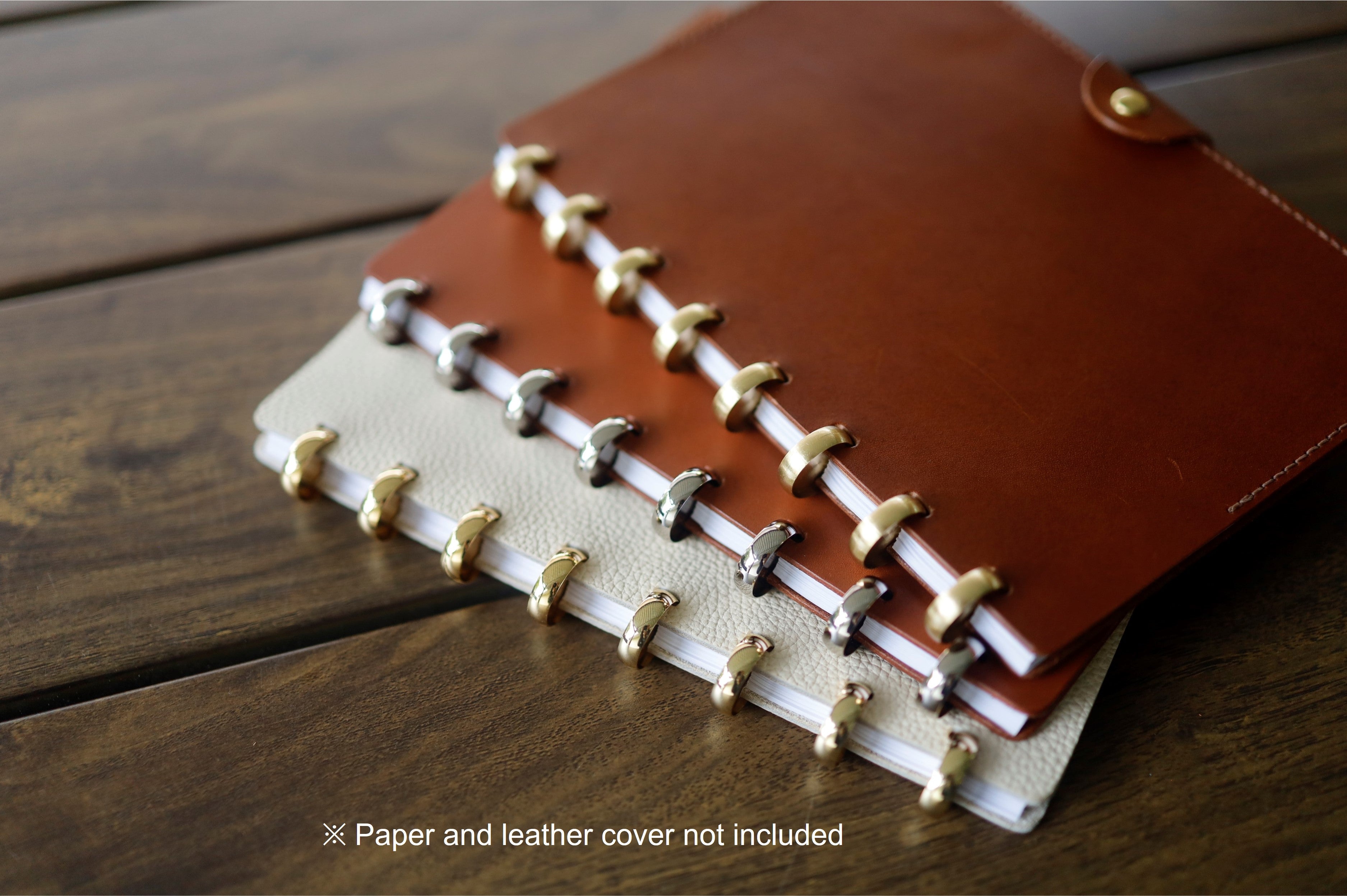 Discs for Disc-bound Notebooks (Gold)