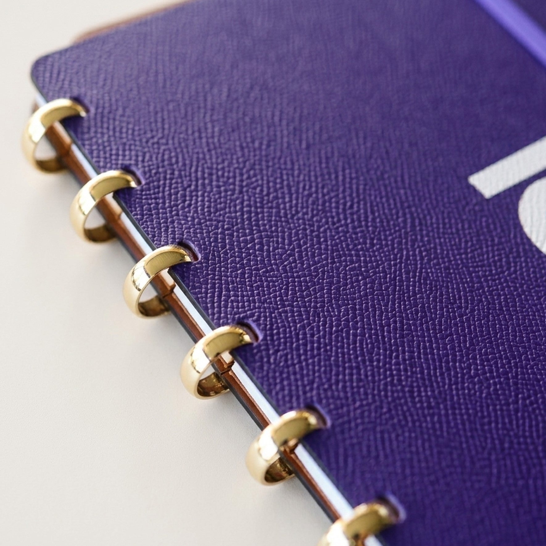 「SIGNATURE」Edition Discbound Planner in German Noblessa Leather