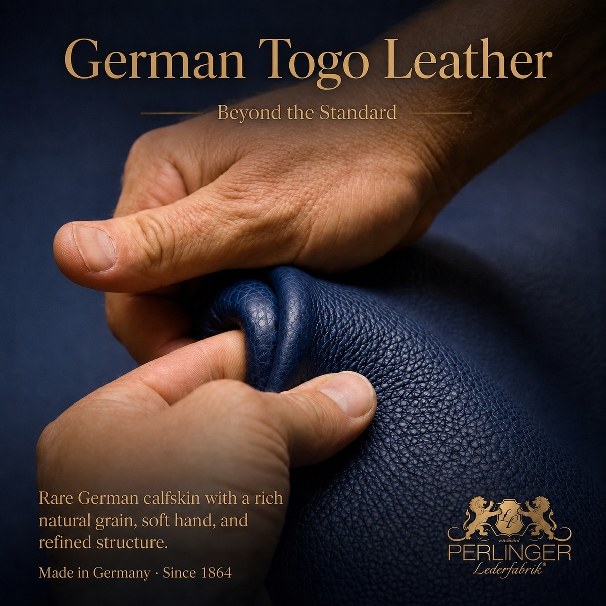 Oranda Card Wallet in German Togo Leather