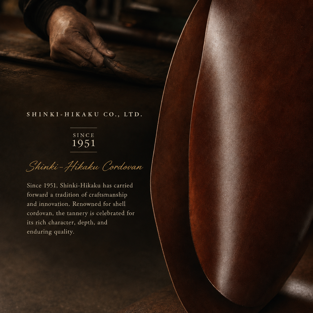 Morgan Business Card Wallet in Shinki Shell Cordovan